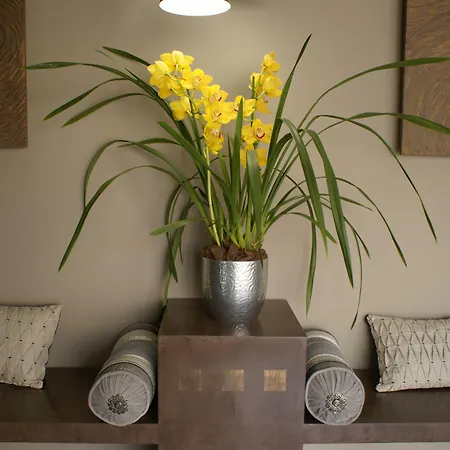 The Originals Boutique, La Grange, 3* Niort
